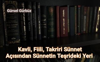 Kavli, Fiili, Takriri Sünnet Açısından Sünnetin Teşrideki yeri